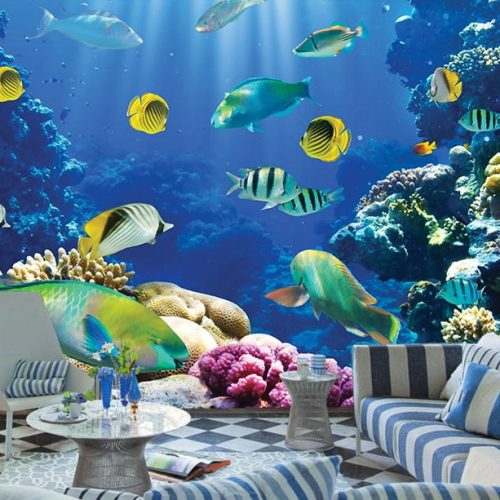 Deniz Balıkları Duvar Kağıdı