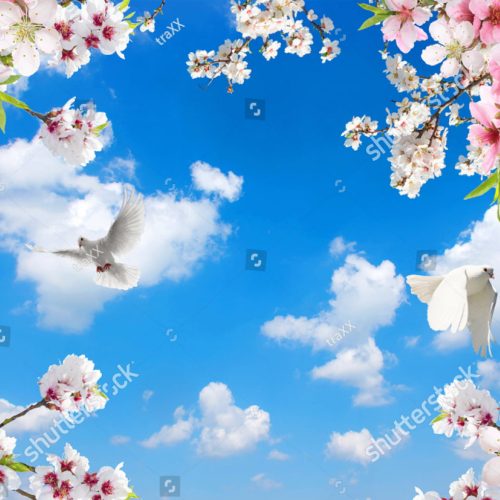 Gökyüzü Görünümlü Gergi Tavan