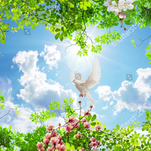 Gökyüzü Görünümlü Gergi Tavan