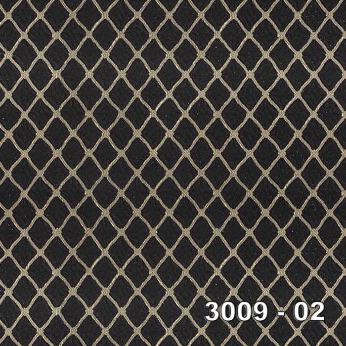 3009-02