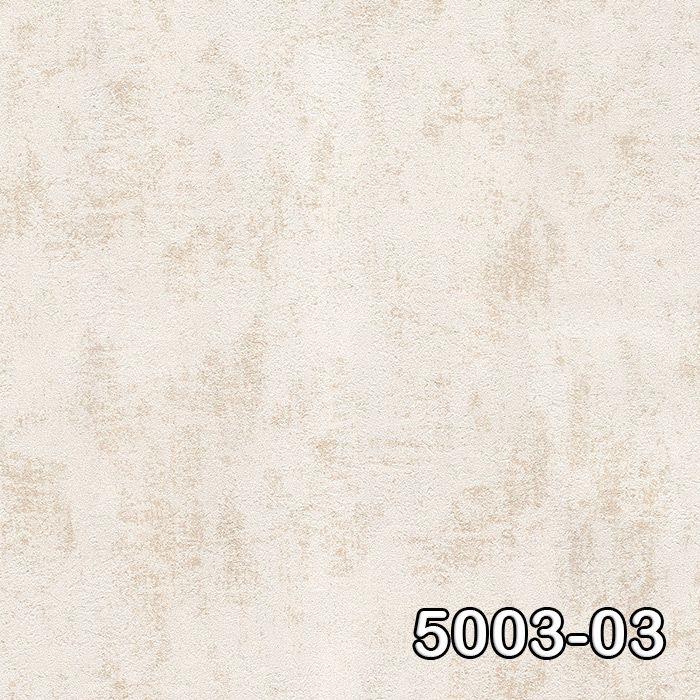 5003-03