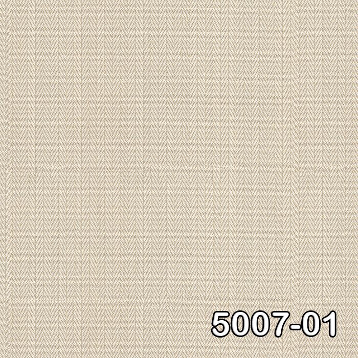 5007-01