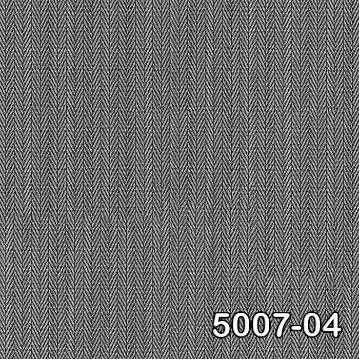 5007-04