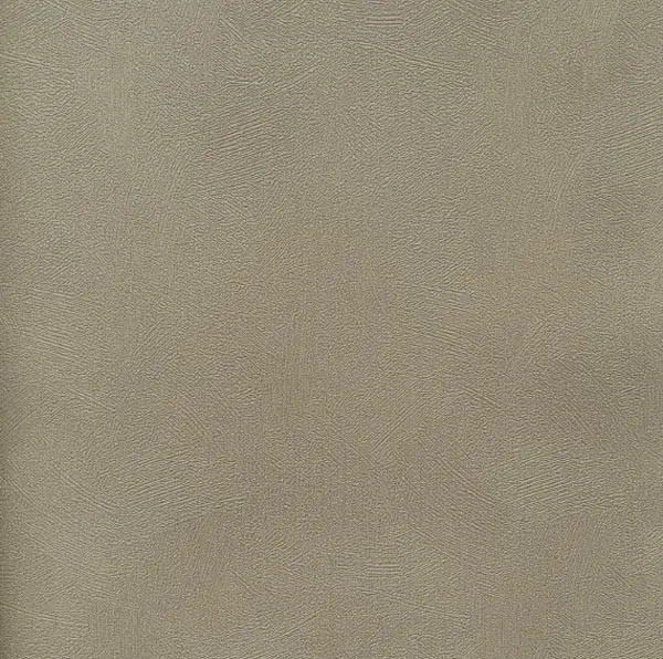 2704-4