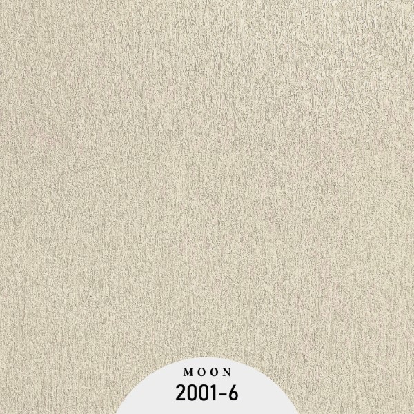 OTT2001-6