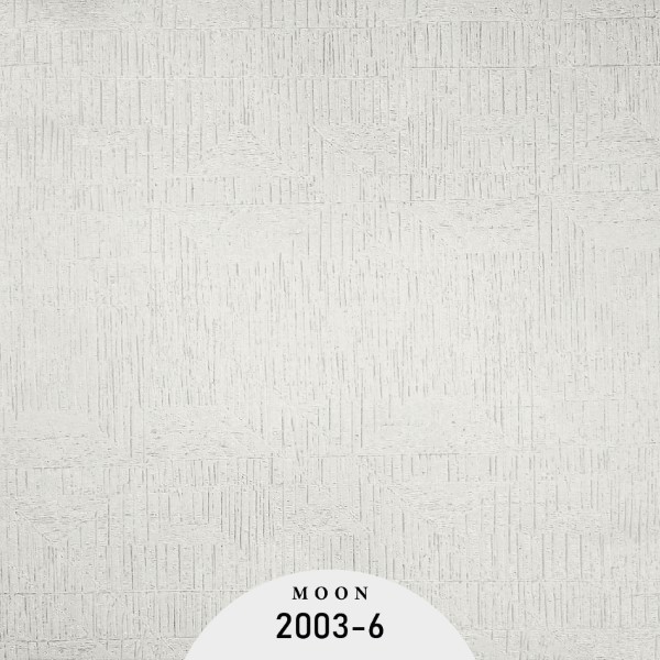 OTT2003-6