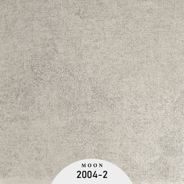 OTT2004-2