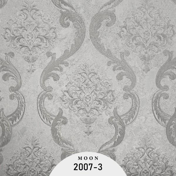 OTT2007-3