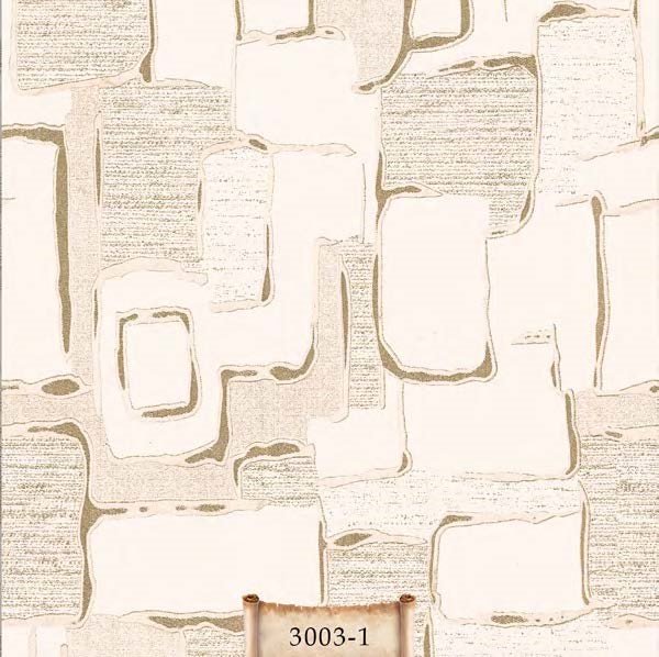 OTT3003-1